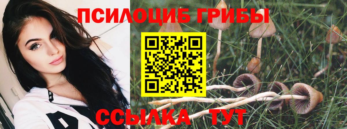 Галлюциногенные грибы Psilocybine cubensis Грязи