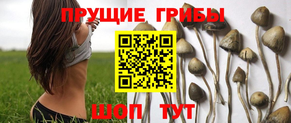 Псилоцибиновые грибы ЛСД  Грязи 
