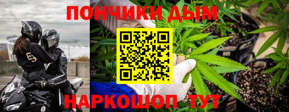 Бошки марихуана планчик  Бошки марихуана LSD WEED  Грязи  Шишки марихуана Amnesia 